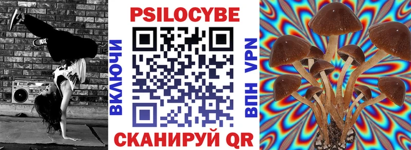 Псилоцибиновые грибы мицелий  Вязьма 