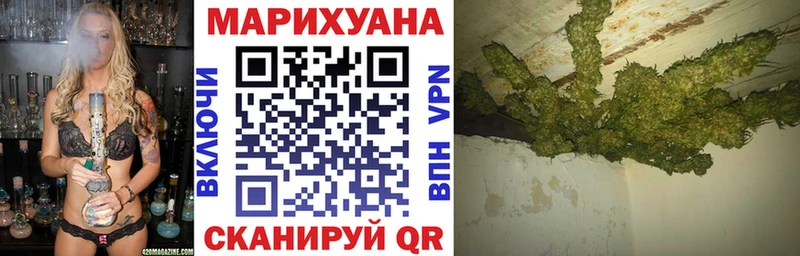купить закладку  Вязьма  Марихуана сатива 